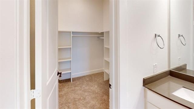 349 Mule Deer Drive - Photo 16