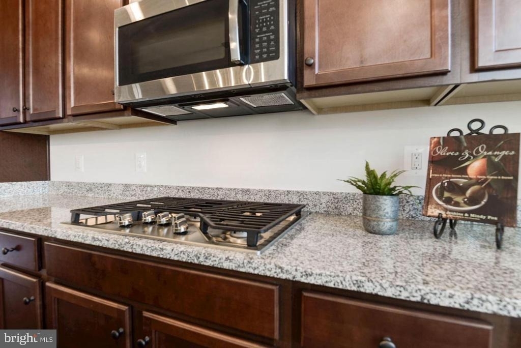 42482 Dogwood Glen Square - Photo 12