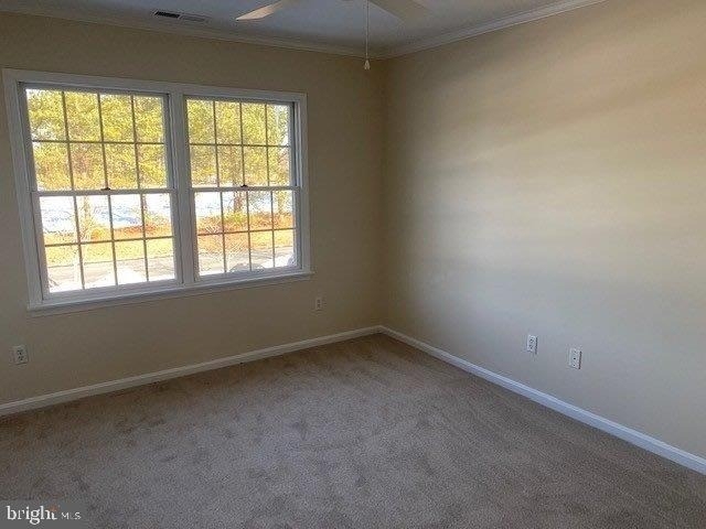 7424 Tour Drive - Photo 5