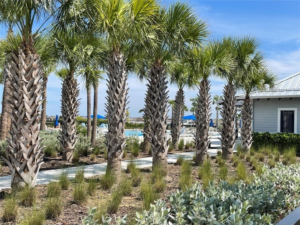 590 Sunlit Coral Street - Photo 27