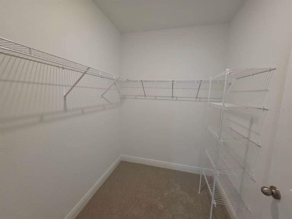 2212 Sienna Spruce Street - Photo 9