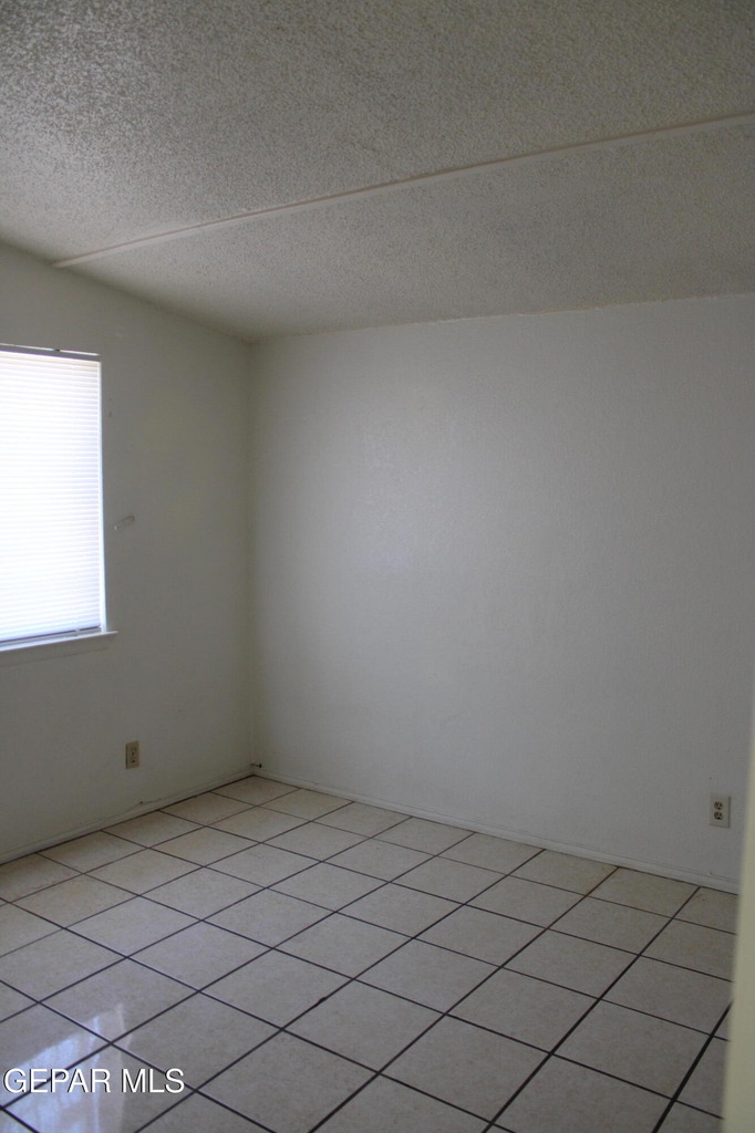 10736 Obsidian Street - Photo 13