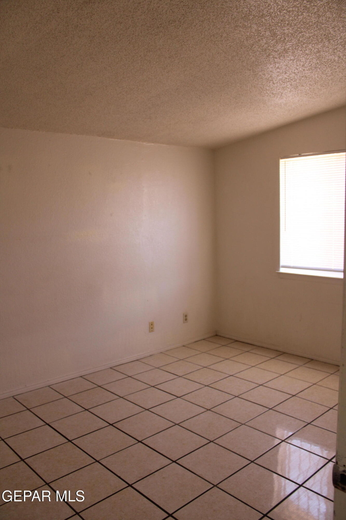 10736 Obsidian Street - Photo 11