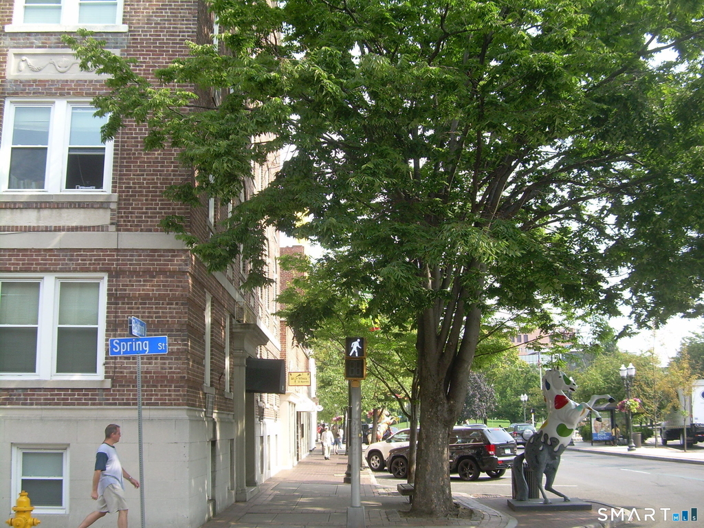 218 Bedford Street - Photo 9