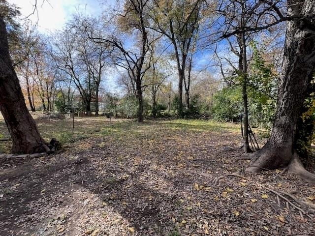 504 Lamar Street - Photo 8