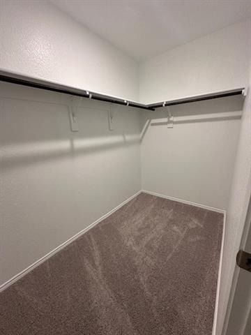 6024 Pitcher Way - Photo 17
