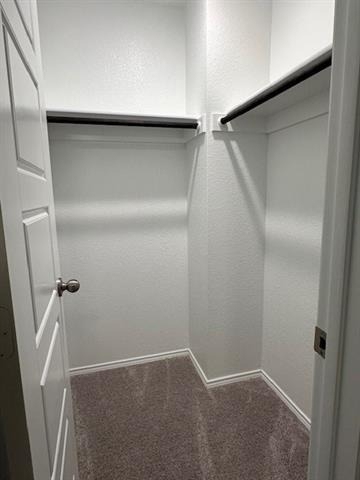 6024 Pitcher Way - Photo 21