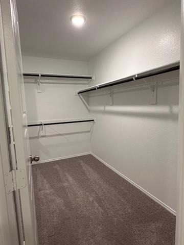 6024 Pitcher Way - Photo 31