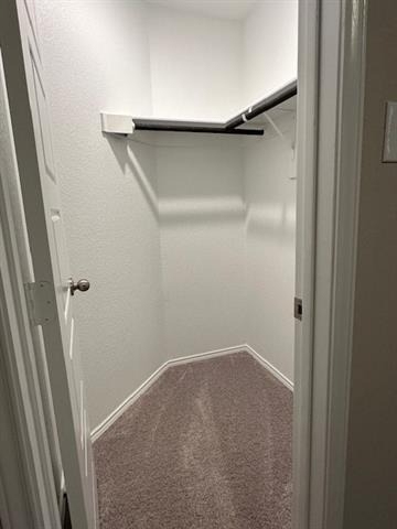 6024 Pitcher Way - Photo 19