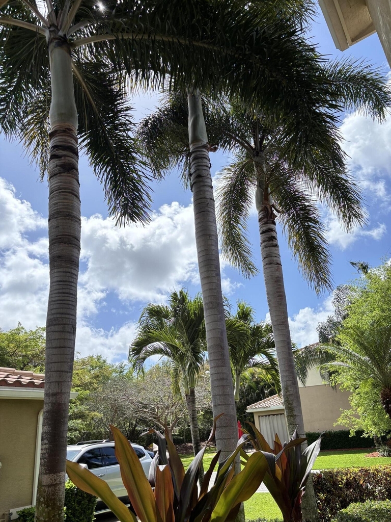 8219 Calabria Lakes Drive - Photo 83