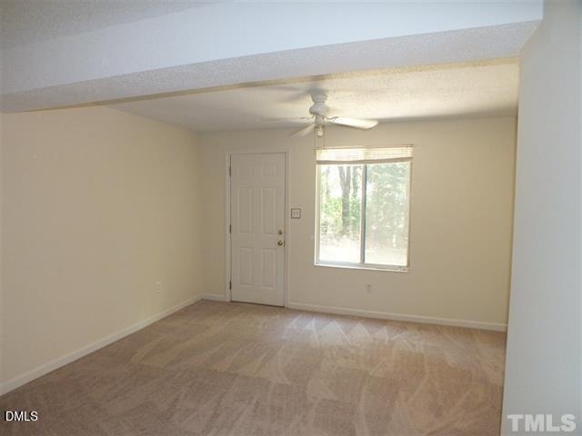 7734 Bernadette Lane - Photo 15