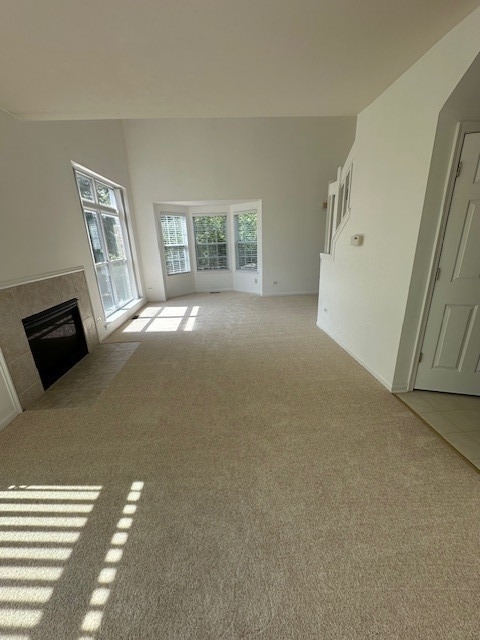 1298 Leonard Drive - Photo 9