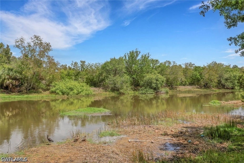 10260 Olivewood Way - Photo 25