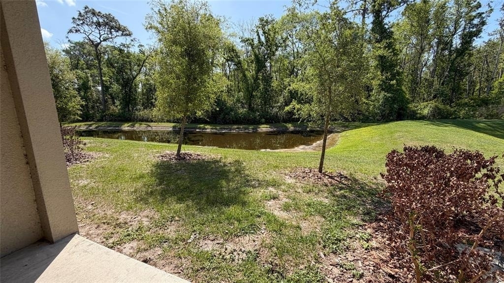 17608 Nectar Flume Drive - Photo 19