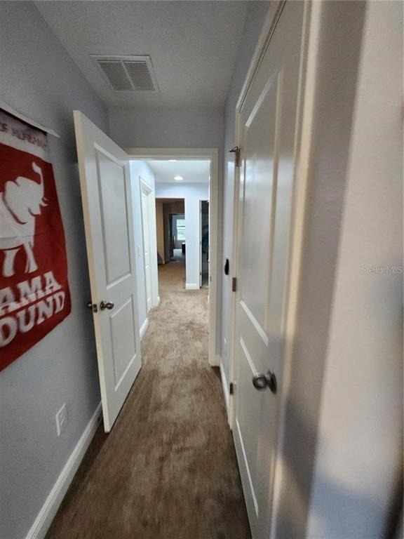 5514 Viola Lee Way - Photo 22