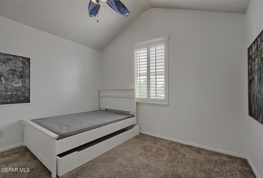 12272 Tierra Pez Way - Photo 26