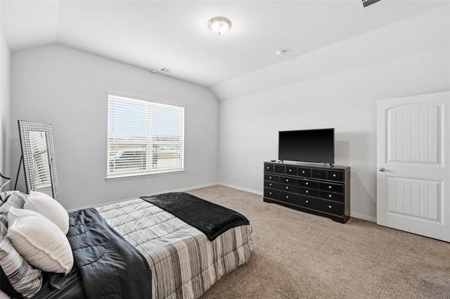 196 Lady Bird Drive - Photo 8
