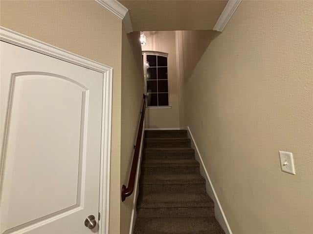 3736 Sicily Street - Photo 10