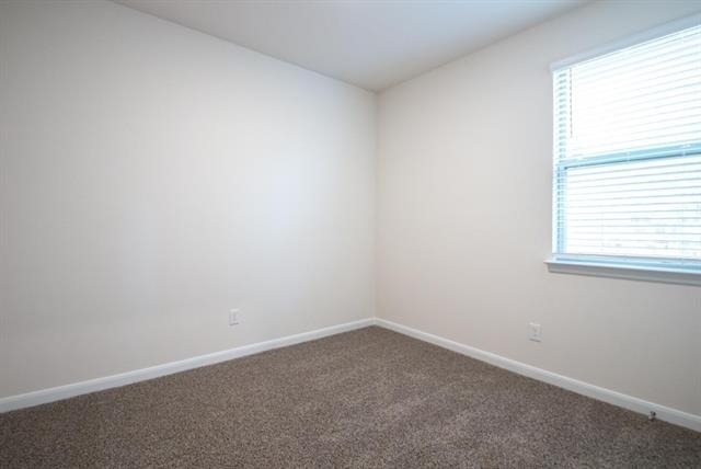 3608 Southbend Drive - Photo 9