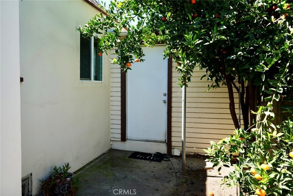 2117 Verde - Photo 12