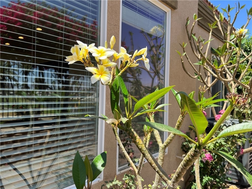 77184 California Drive - Photo 27