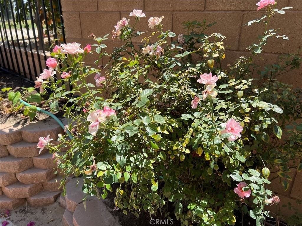 77184 California Drive - Photo 25
