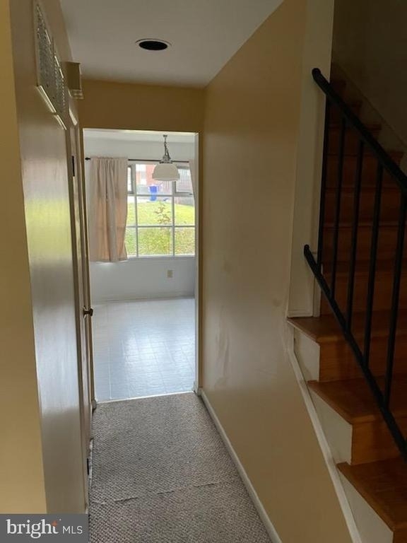 11306 Soward Drive - Photo 1