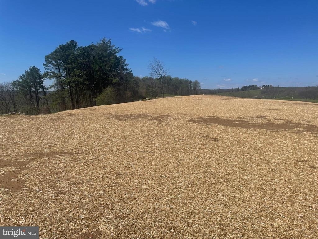 2601 Butler Road - Photo 15