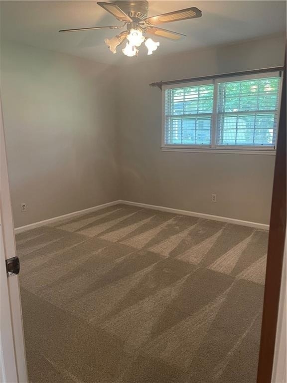 5416 N Richland Creek Road - Photo 9
