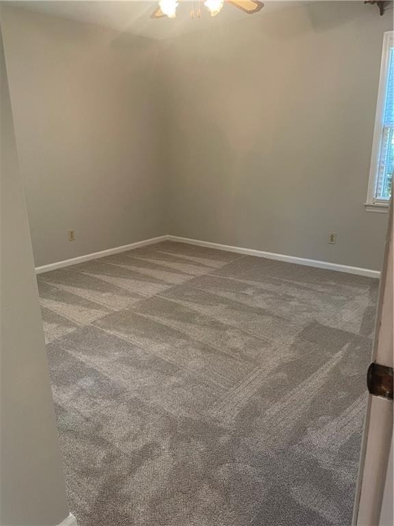 5416 N Richland Creek Road - Photo 10