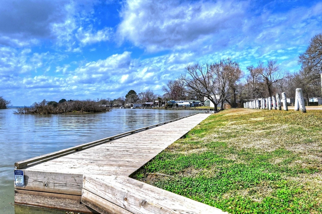 11604 Vistawood Street - Photo 29