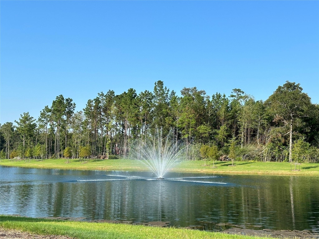 16530 Pine Arrow Drive - Photo 36