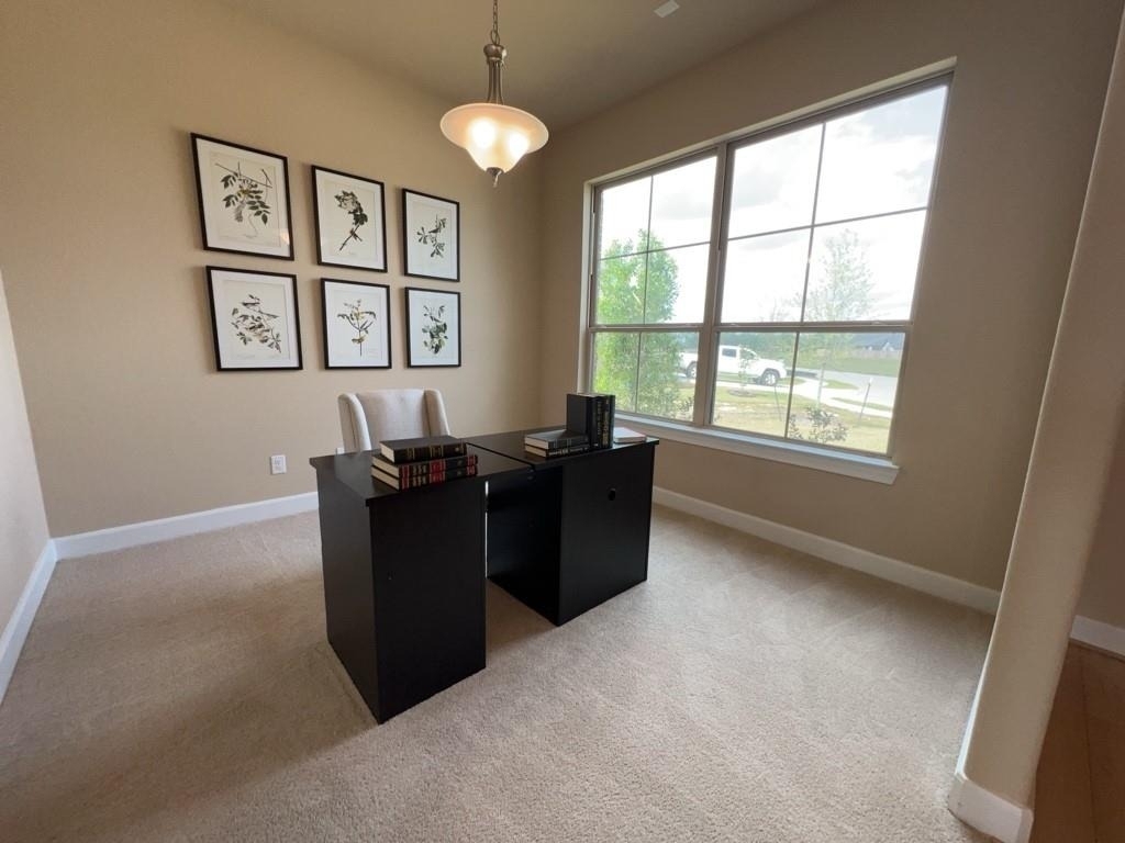 5602 Caracara Street - Photo 4
