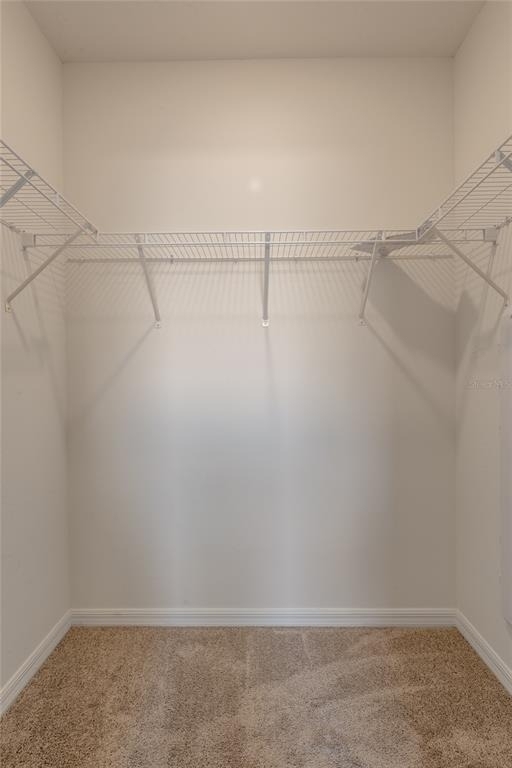 11147 Crescent Deer Drive - Photo 20