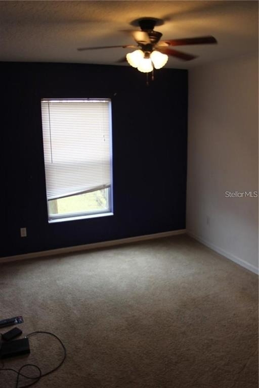 4478 Maidenhair Cove - Photo 7