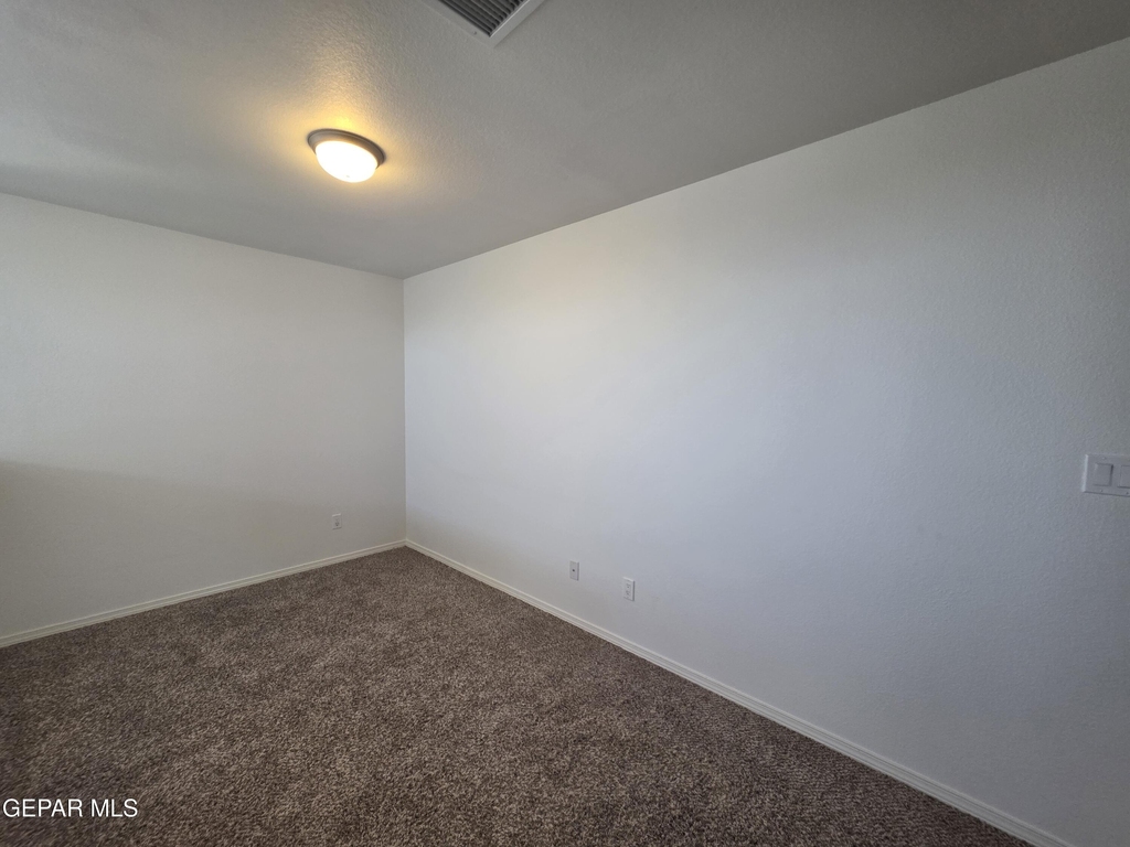 7517 Red Cedar Drive - Photo 12