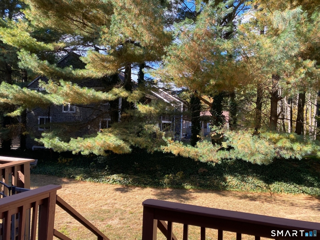 139 Songbird Lane - Photo 19