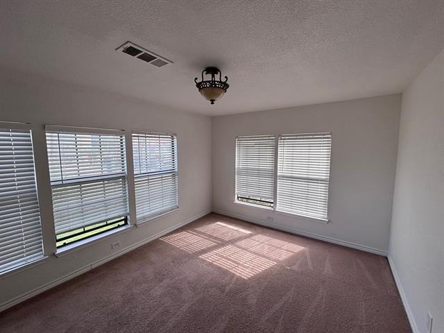 5003 Bryan Street - Photo 7