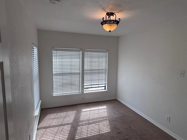 5003 Bryan Street - Photo 10