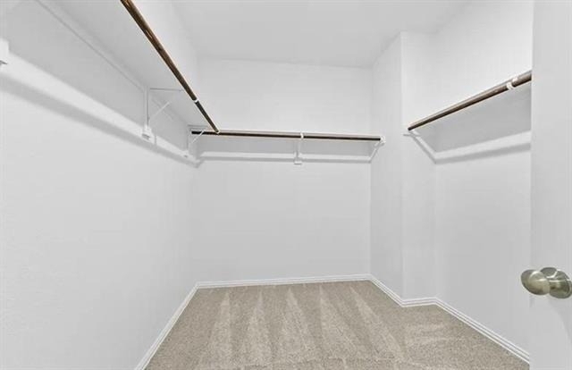 3509 Foxhound Lane - Photo 14