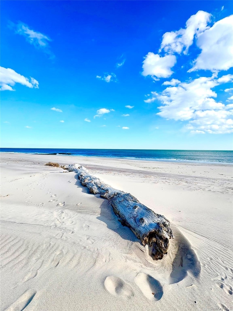 253 Dune - Photo 0