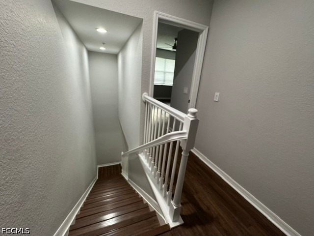 4380 Lazio Way - Photo 24