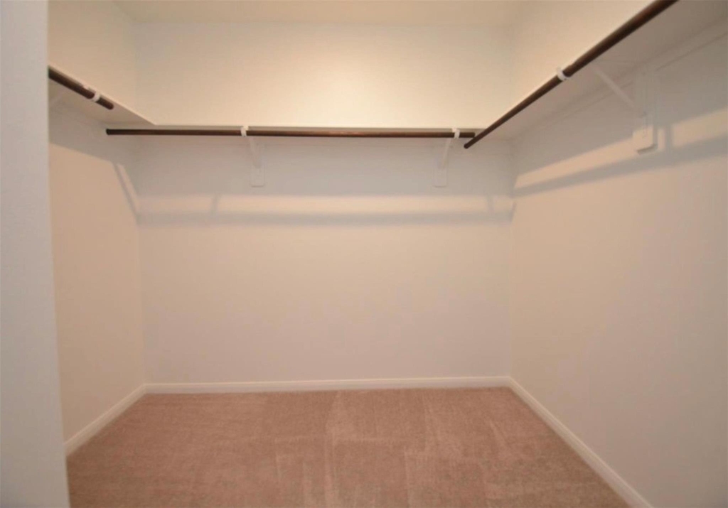 16439 Big Hickory Dr - Photo 15