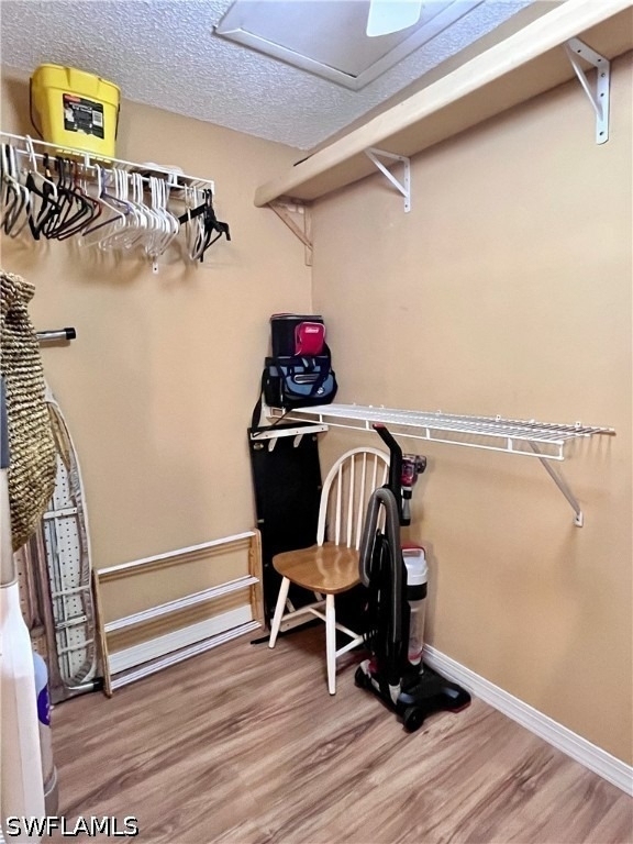 256 Palm Drive - Photo 15