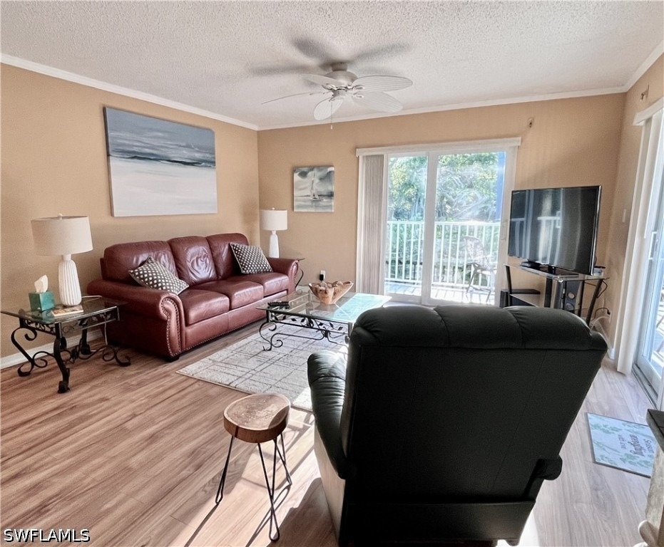 256 Palm Drive - Photo 5