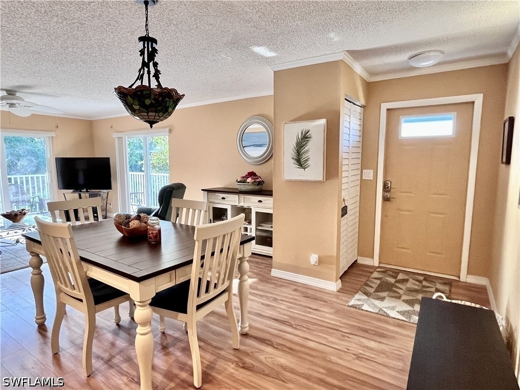 256 Palm Drive - Photo 6