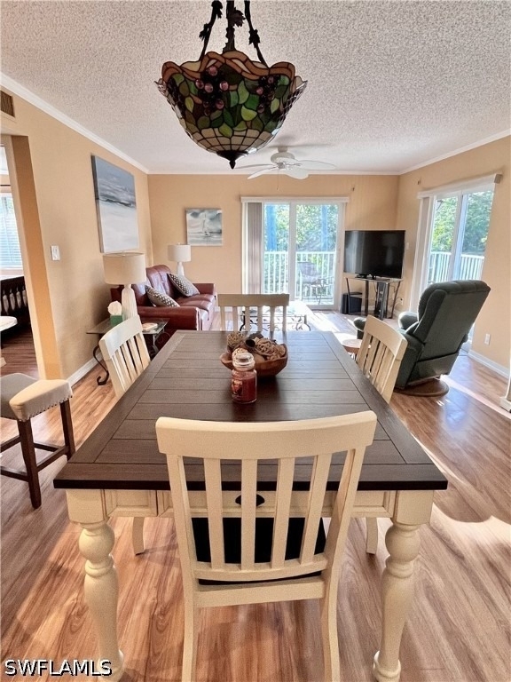 256 Palm Drive - Photo 7