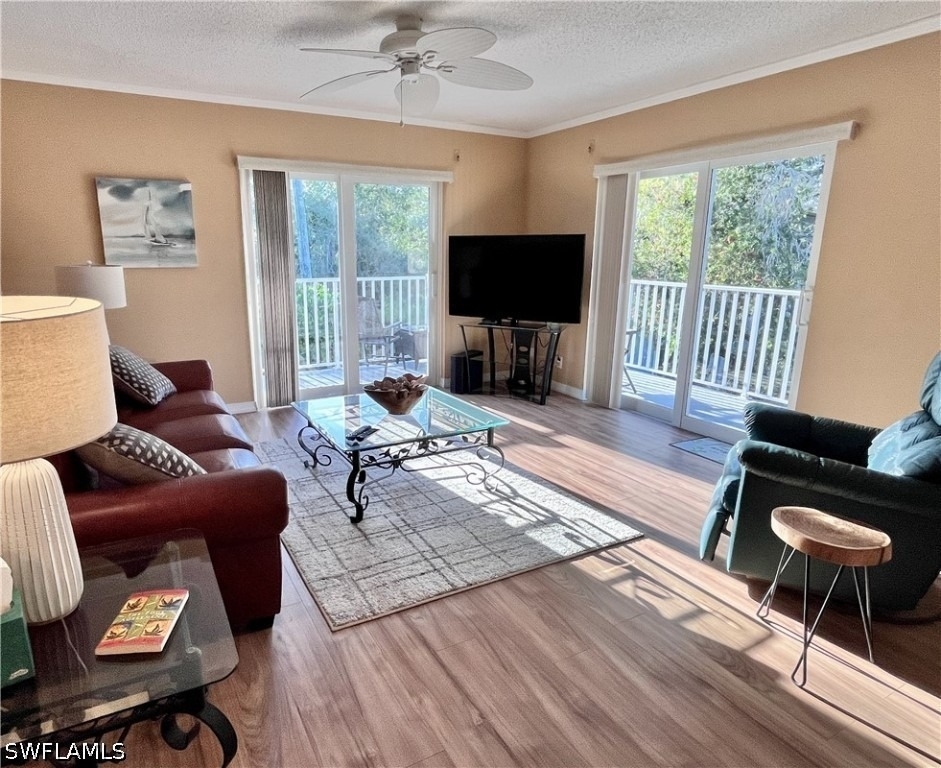 256 Palm Drive - Photo 4