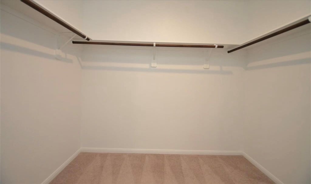 16412 Big Hickory Dr - Photo 11
