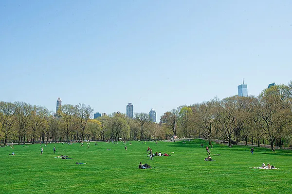 46 West 73rd Street - Photo 7